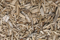 biomass boilers Gedintailor